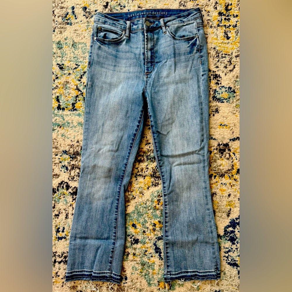 Articles of Society like new size 29 frayed Jeans